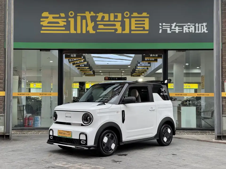 Geely Galaxy Panda Model Year 210km Panda Kart 2025