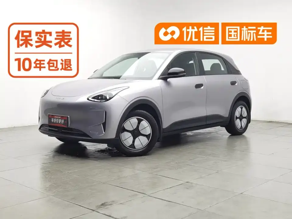 Geely Galaxy Starry Wish 310km Youth Edition 2025