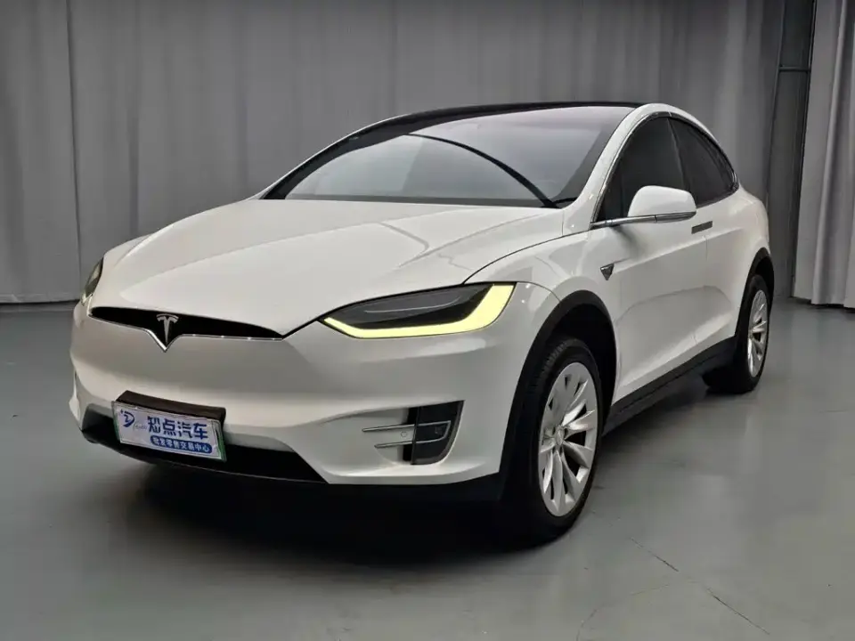 Tesla Model X Model X 75D 2019