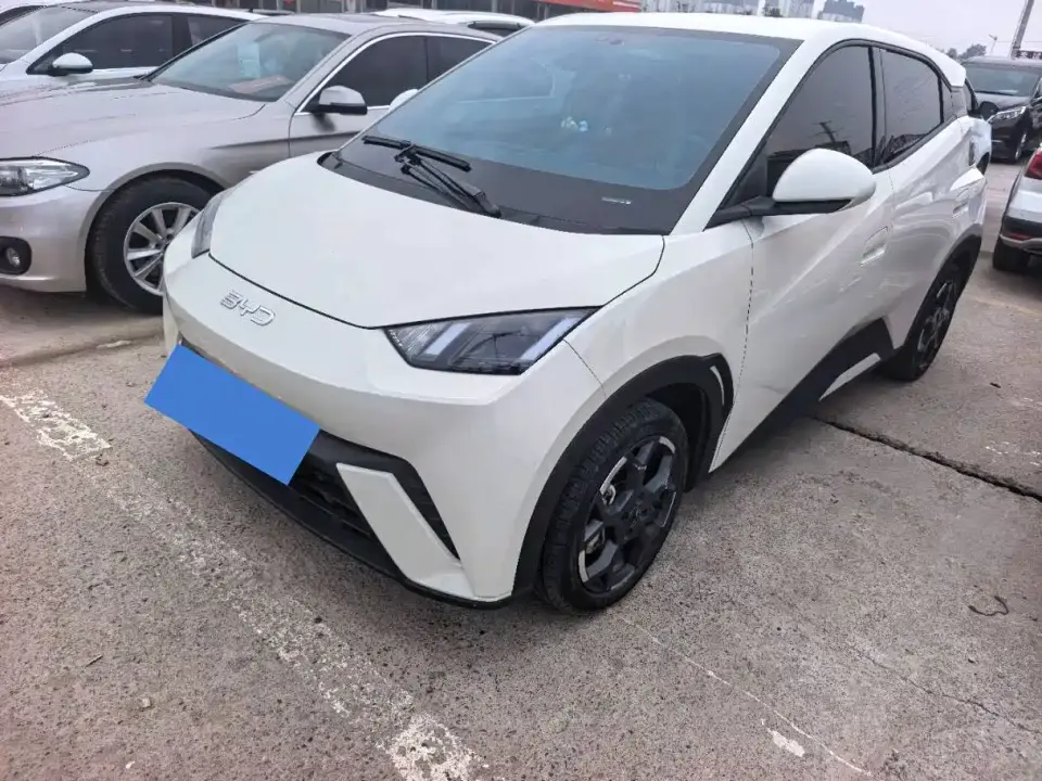 BYD Seagull Glory Edition 405km Soaring Edition 2024