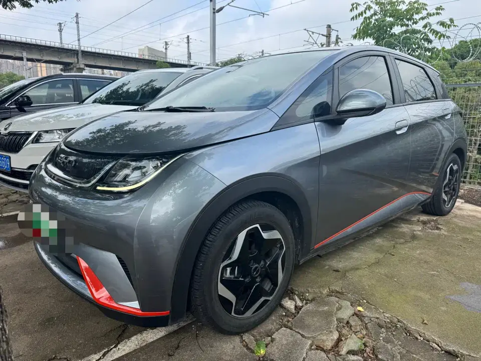 BYD Dolphin Model 405km Fashion Edition 2022