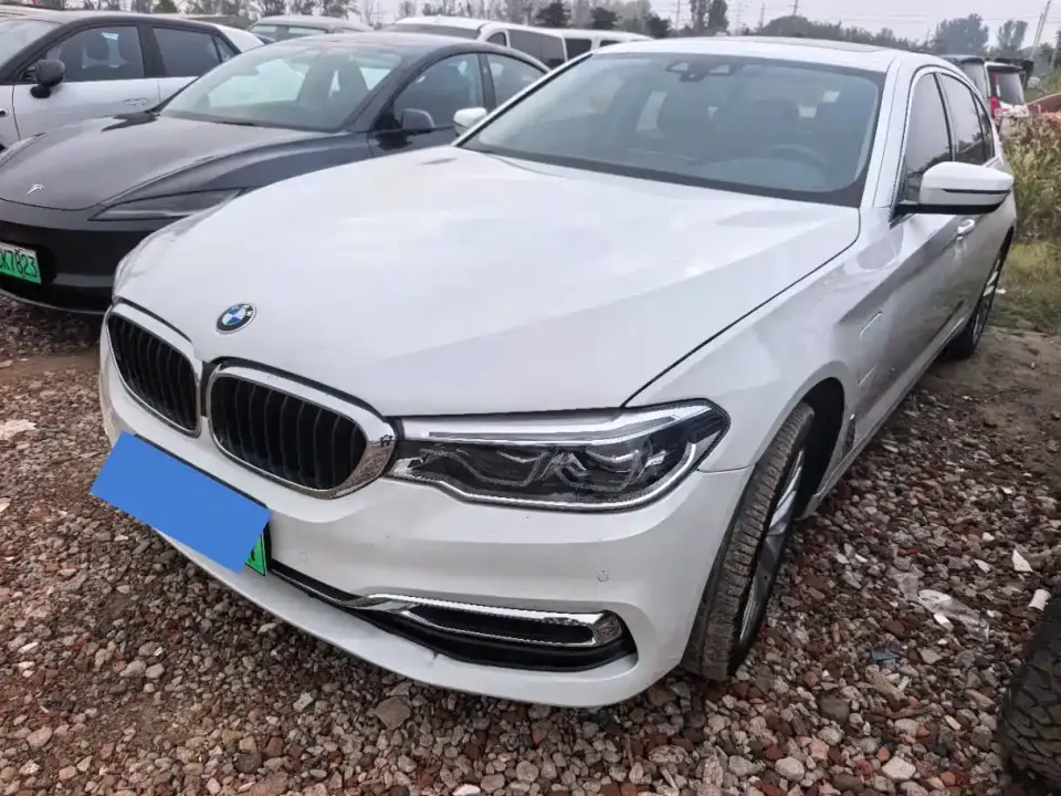 BMW 5 Series New Energy Facelift 530Le Luxury Package 2019
