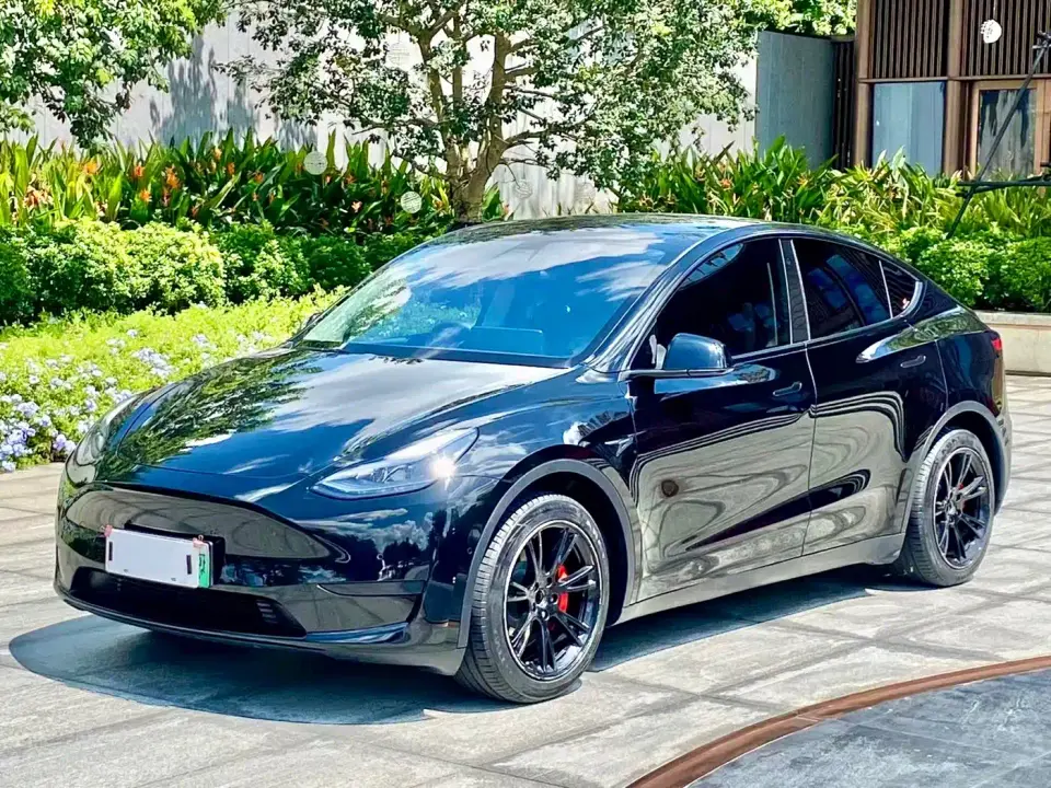 Tesla Model Y Rear-Wheel Drive Version 2023