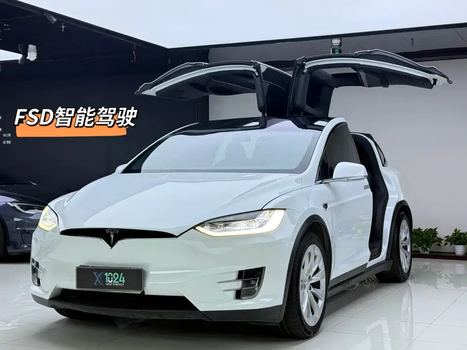 Tesla Model X Long Range Upgrade 2020