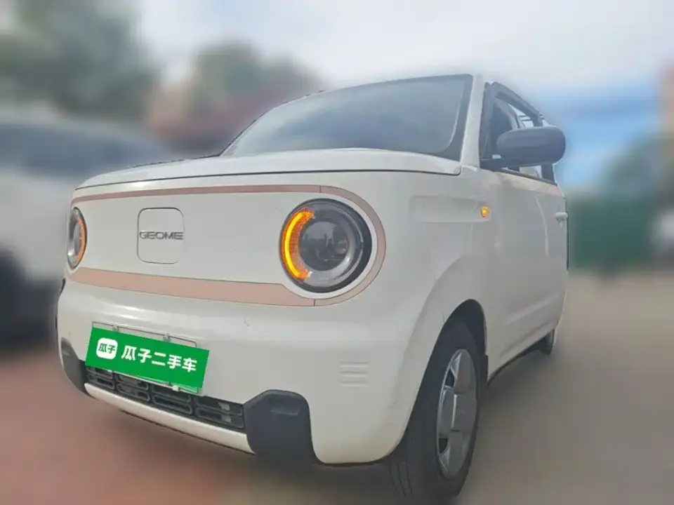 Geely Galaxy Panda Panda Mini 200km Endurance Bear 2023