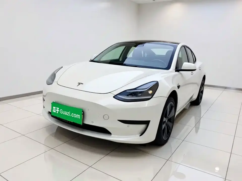Tesla Model 3 Standard Range Rear-Wheel Drive Upgrade 2021