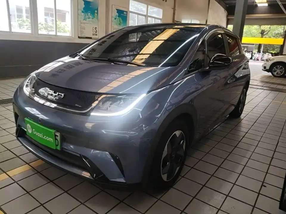 BYD Dolphin Glory Edition 420km Fashion Edition 2024