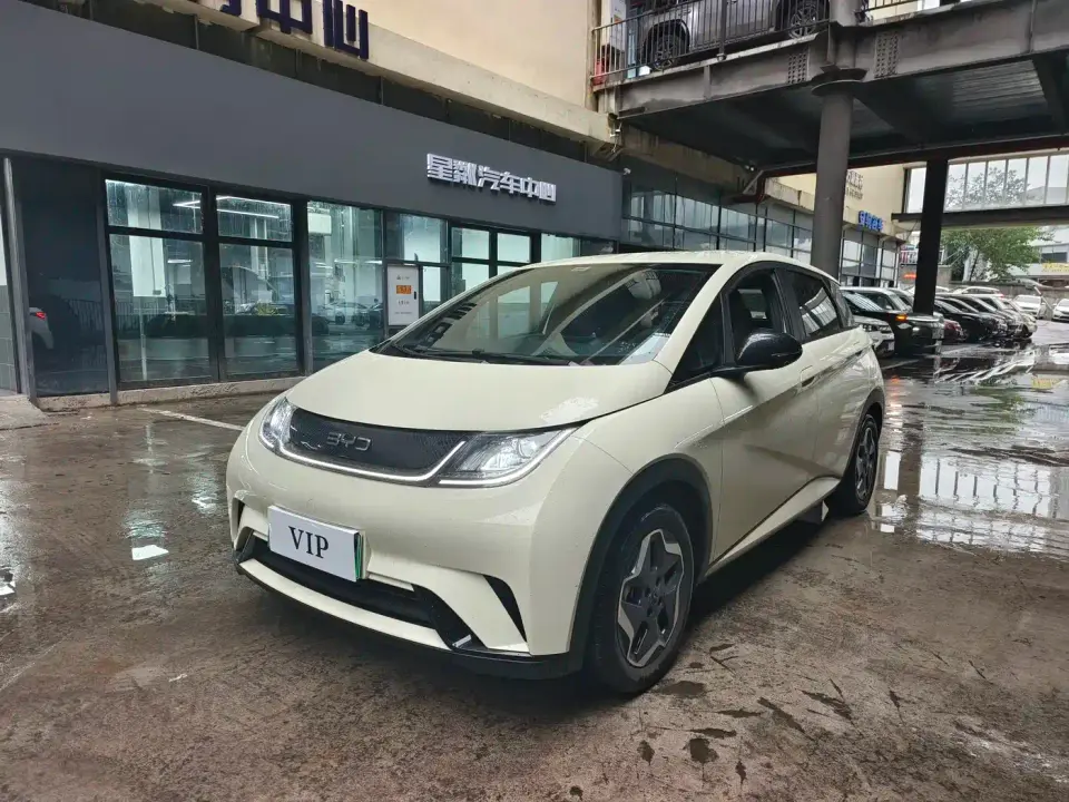 BYD Dolphin Glory Edition 420km Freedom Edition 2024