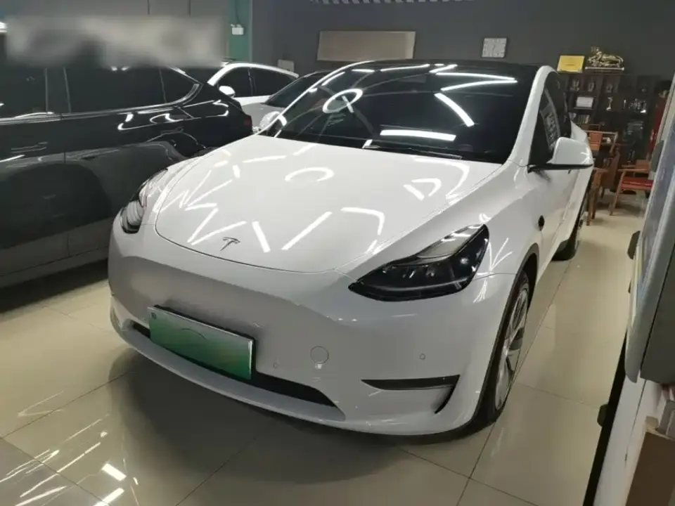 Tesla Model Y Standard Range Rear-Wheel Drive 2021
