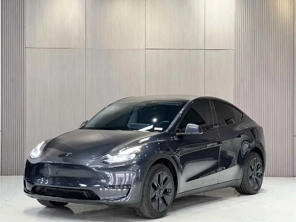 Tesla Model Y Rear-Wheel Drive Version 2025