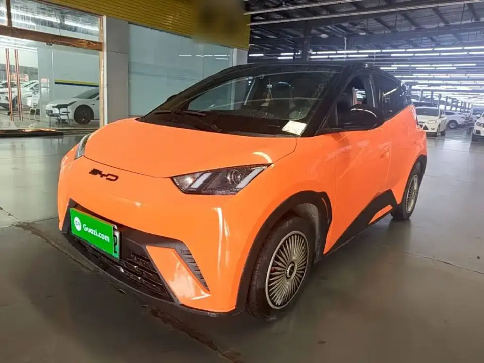 BYD Seagull Glory Edition 305km Vitality Edition 2024