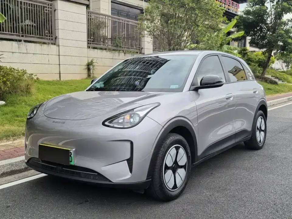 Geely Galaxy Starry Wish 310km Youth Edition 2025