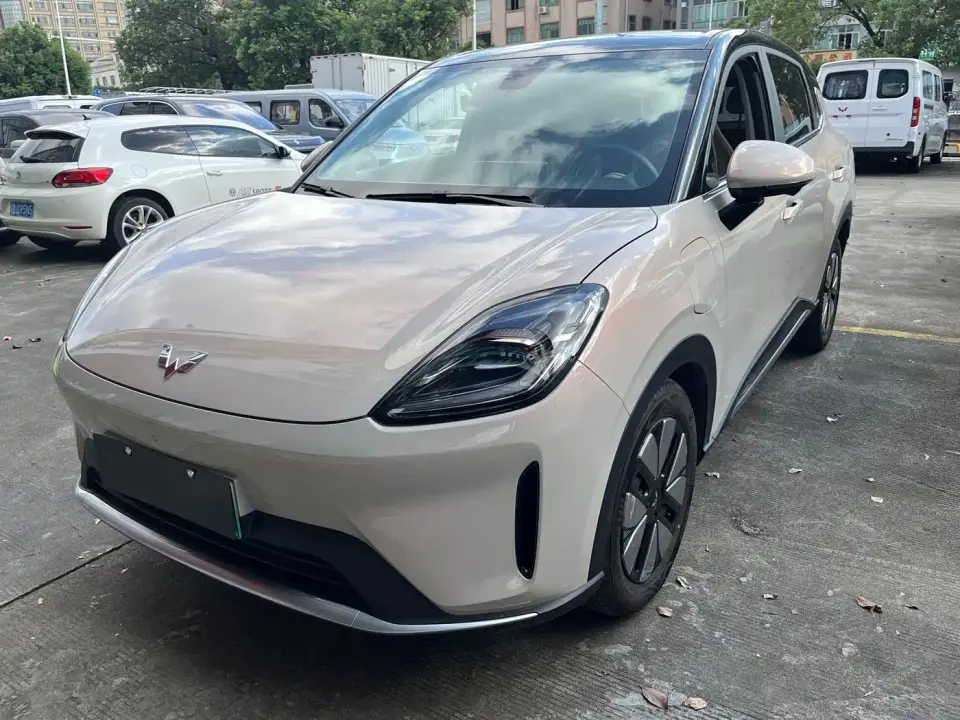 Wuling Motors Wuling Bingo S Model 430km Premium Edition 2026