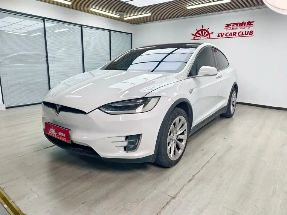 Tesla Model X Model X 100D Long Range 2019