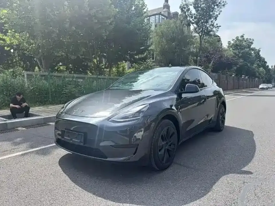 Tesla Model Y Rear-Wheel Drive Version 2024