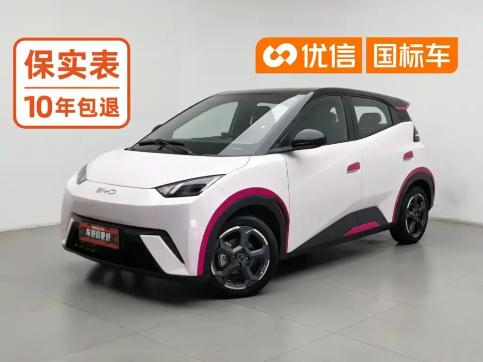 BYD Seagull Glory Edition 305km Freedom Edition 2024