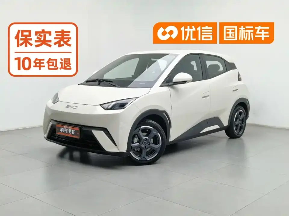 BYD Seagull Glory Edition 305km Freedom Edition 2024