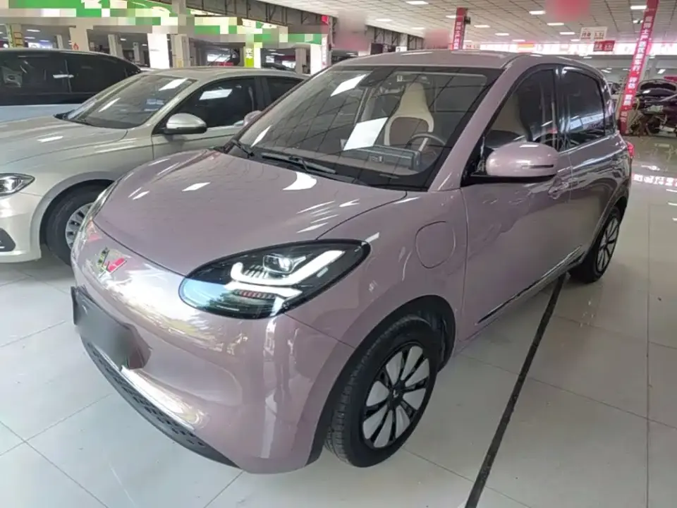 Wuling Motors Wuling Bingo Model 333km Joy+ Version 2023