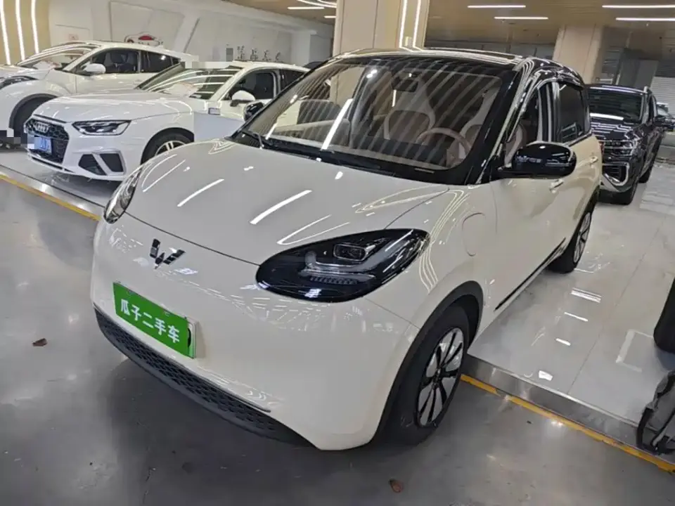 Wuling Motors Wuling Bingo Model 333km Smart Connect 2025