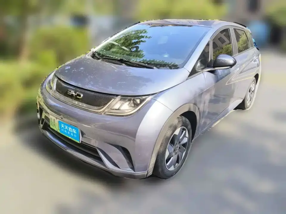 BYD Dolphin Glory Edition 420km Freedom Edition 2024