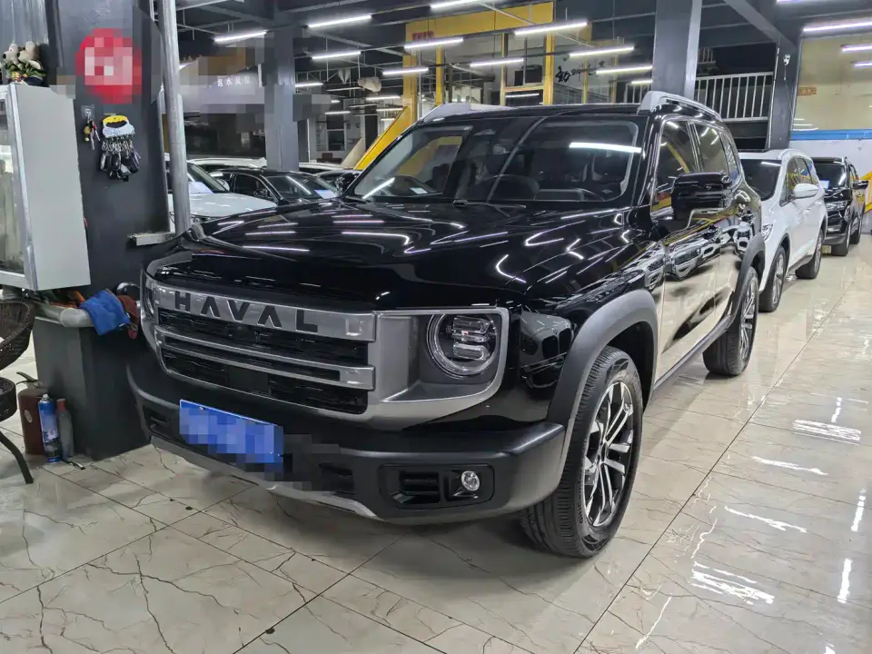 Haval Big Dog 1.5T DCT Border Collie Edition 2023