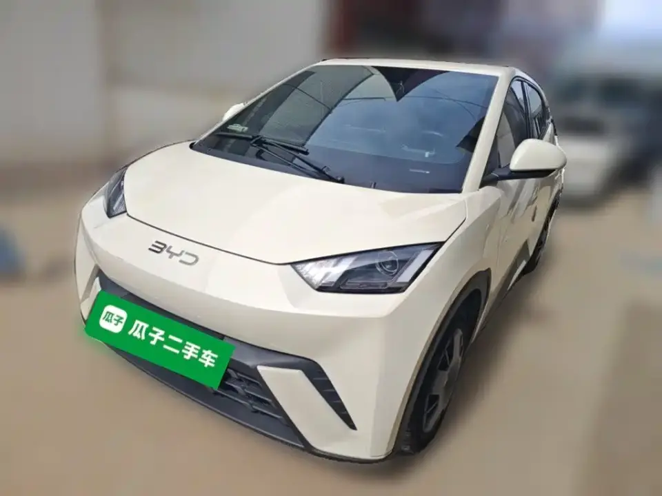 BYD Seagull 305km Vitality 2024