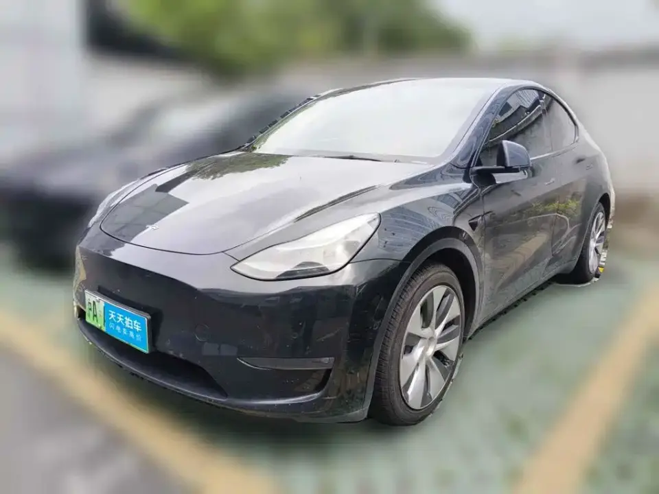 Tesla Model Y Standard Range Rear-Wheel Drive 2021