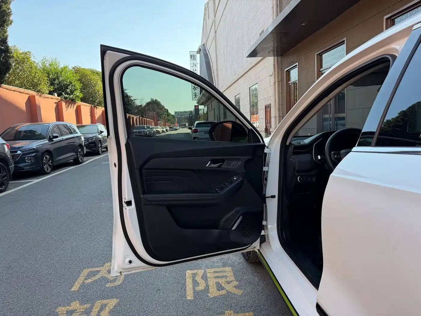 Haval Chitu Power Edition 1.5T Purple Copper Rabbit 2023 — фото 22