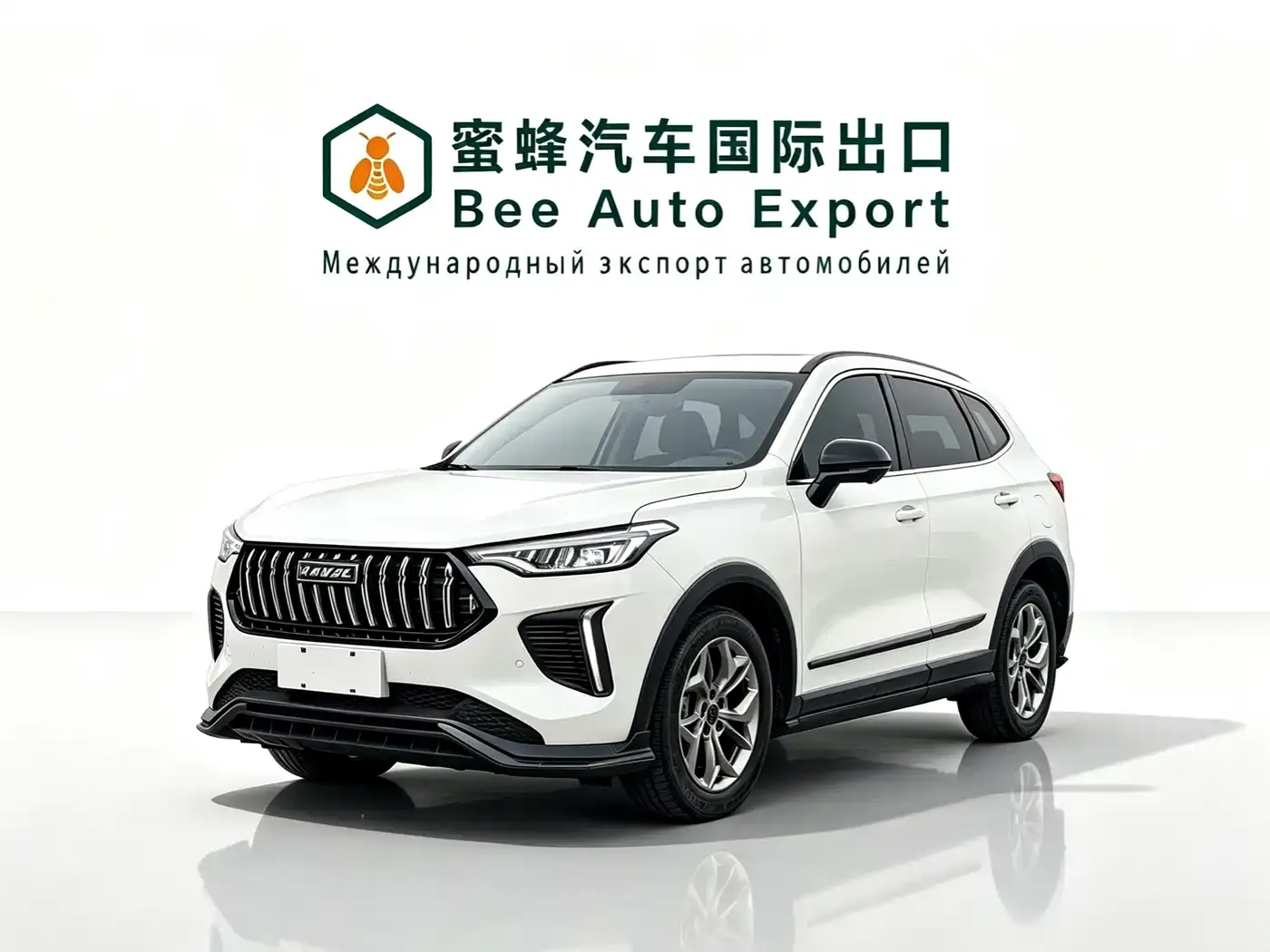 Haval Chitu Power Edition 1.5T Purple Copper Rabbit 2023