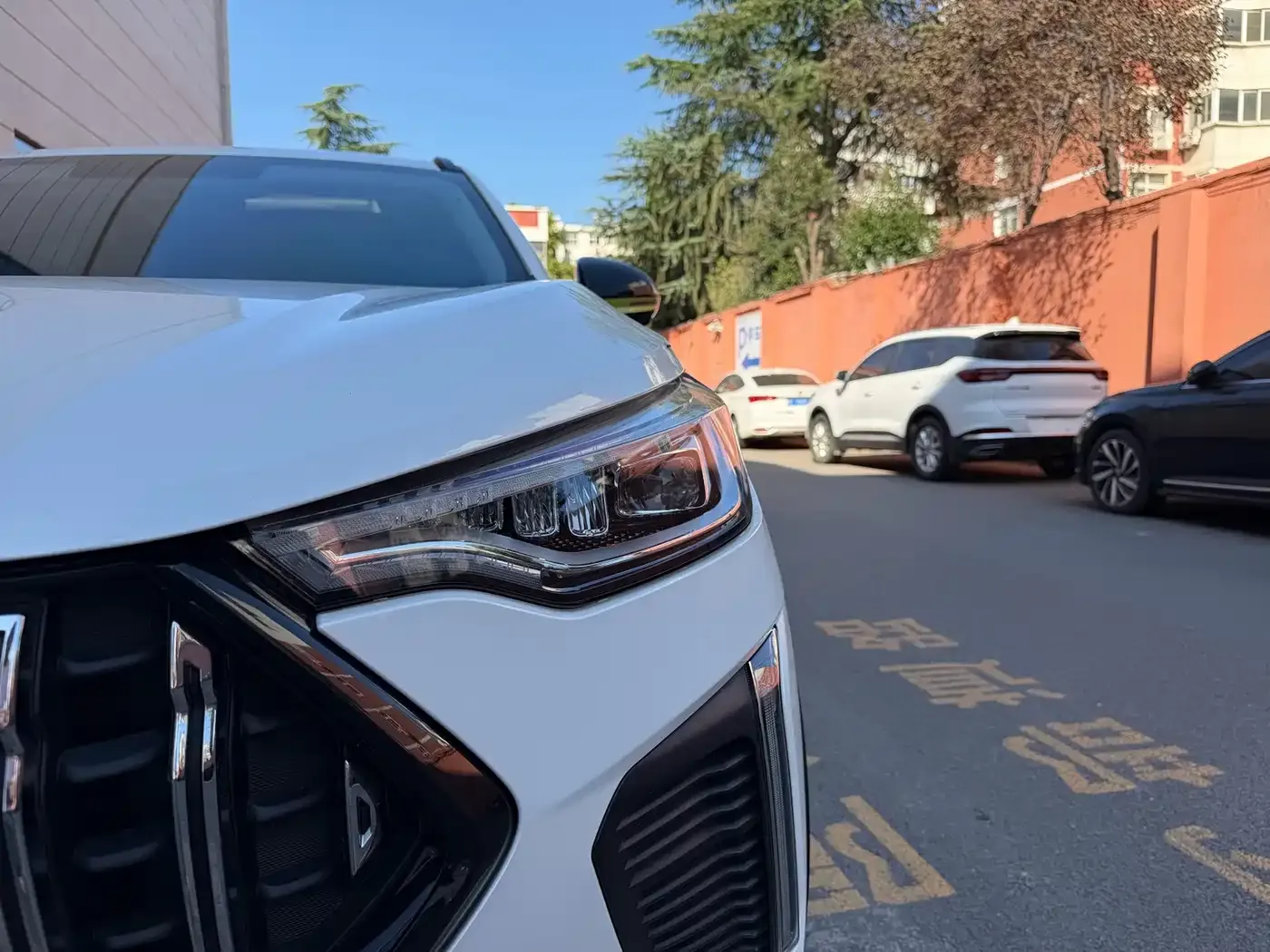 Haval Chitu Power Edition 1.5T Purple Copper Rabbit 2023 — фото 4