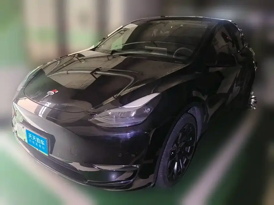 Tesla Model Y Long Range All-Wheel Drive Edition 2023