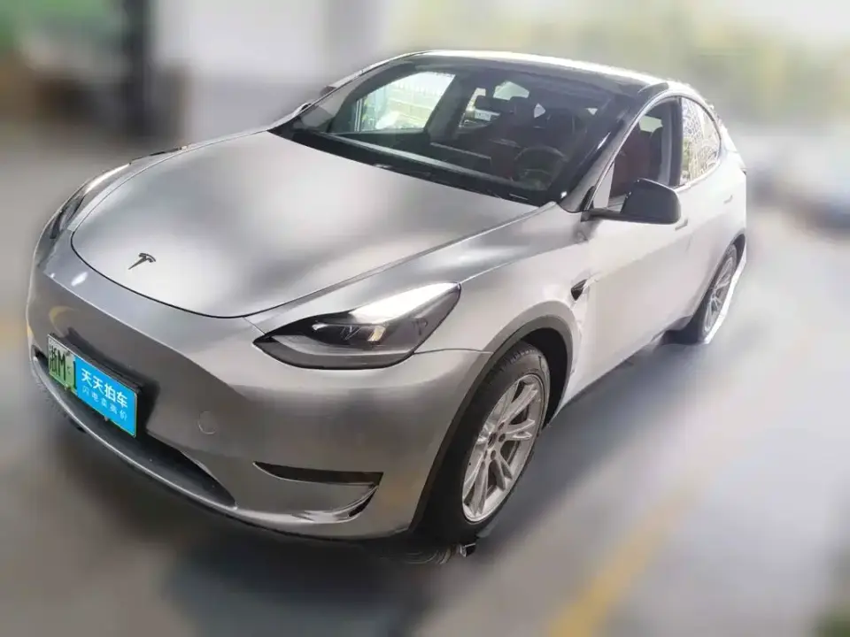 Tesla Model Y Standard Range Rear-Wheel Drive 2021