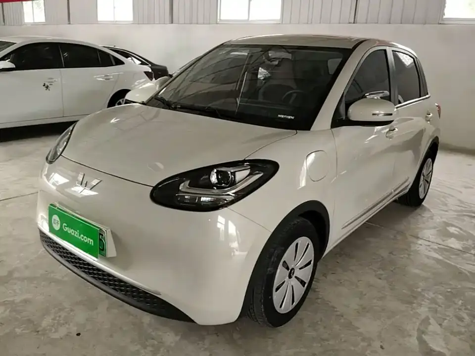 Wuling Motors Wuling Bingo 333km Quick Enjoy Version 2024