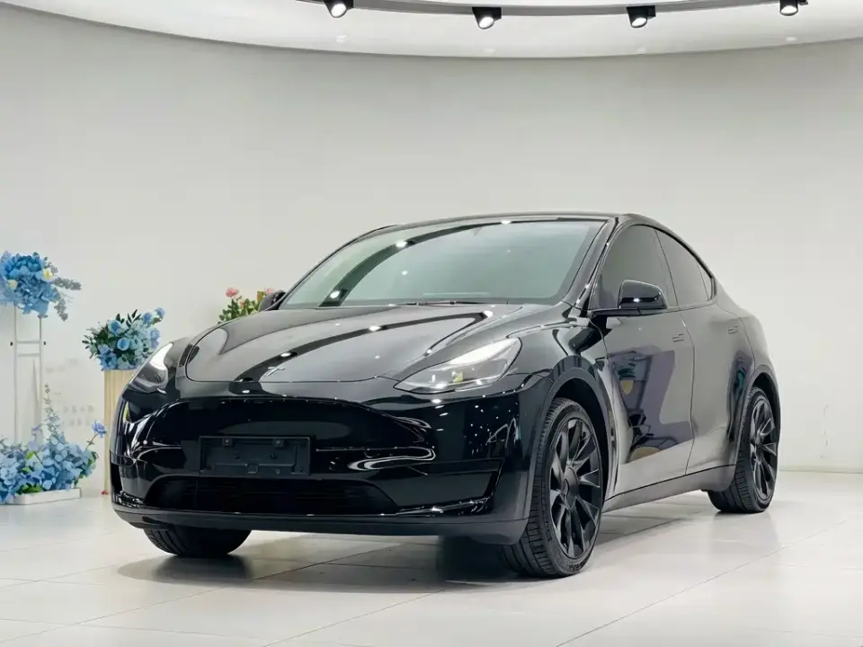 Tesla Model Y Rear-Wheel Drive Version 2024