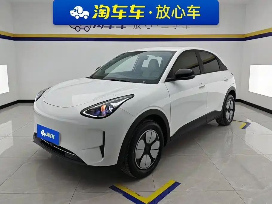 Geely Galaxy Starry Wish 310km Youth Edition 2025