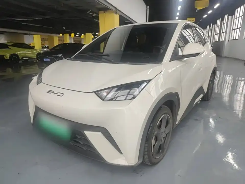 BYD Seagull Freedom Edition 2024