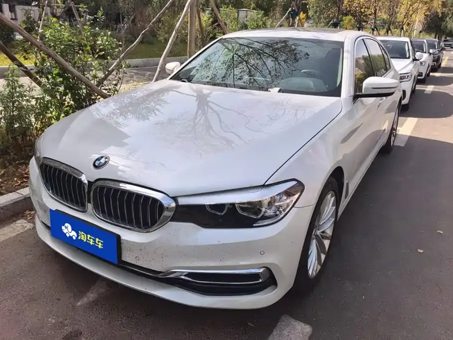BMW 5 Series 530Li xDrive Luxury Package 2019