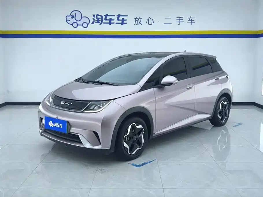 BYD Dolphin Model 405km Fashion Edition 2023