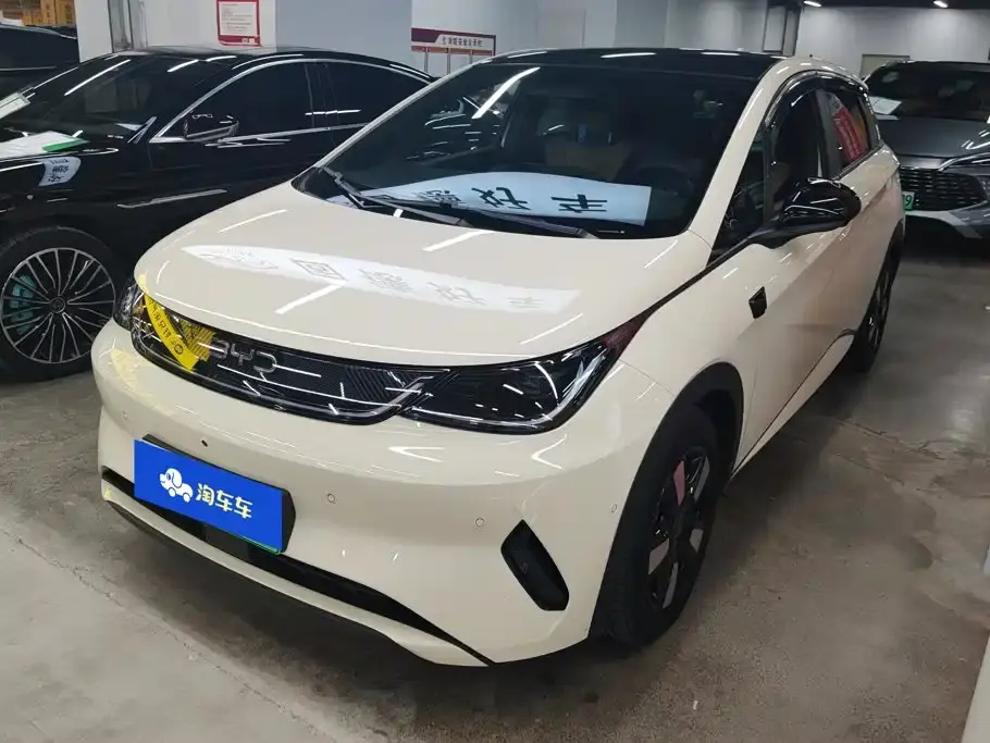 BYD Dolphin Smart Drive Edition 410km Fashion Version 2025