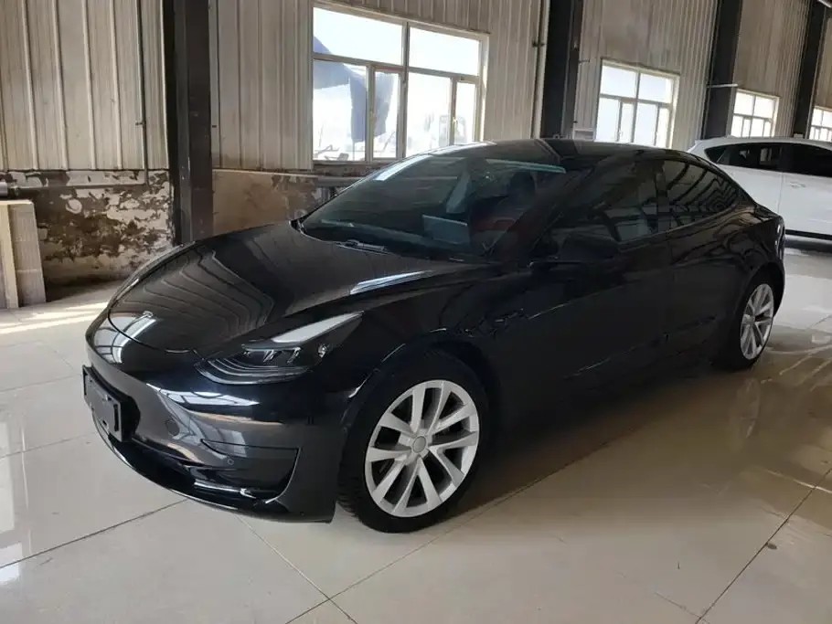 Tesla Model 3 Model Rear-Wheel Drive Version 2022