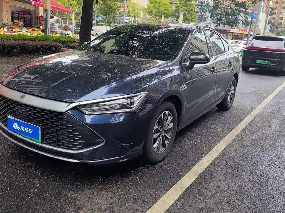 BYD Qin PLUS Champion Edition DM-i 55KM Leading 2024