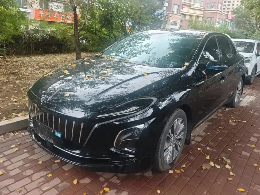 Hongqi E-QM5 Model 450km Travel Edition 2024