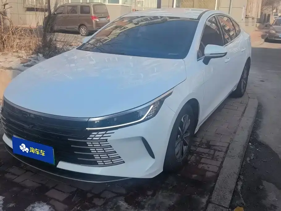 BYD Destroyer 05 Glory Edition DM-i 55KM Luxury 2024
