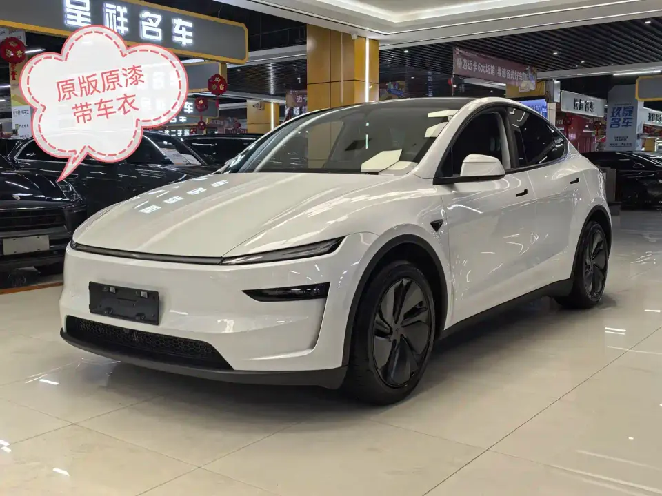 Tesla Model Y Long Range All-Wheel Drive 2025