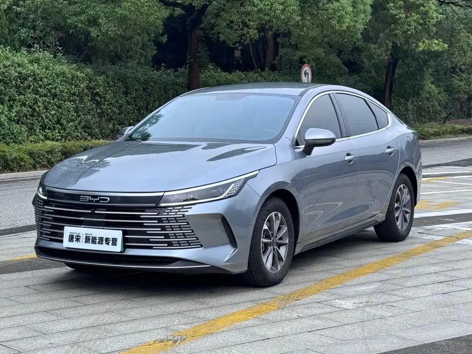 BYD Destroyer 05 Glory Edition DM-i 55KM Luxury 2024