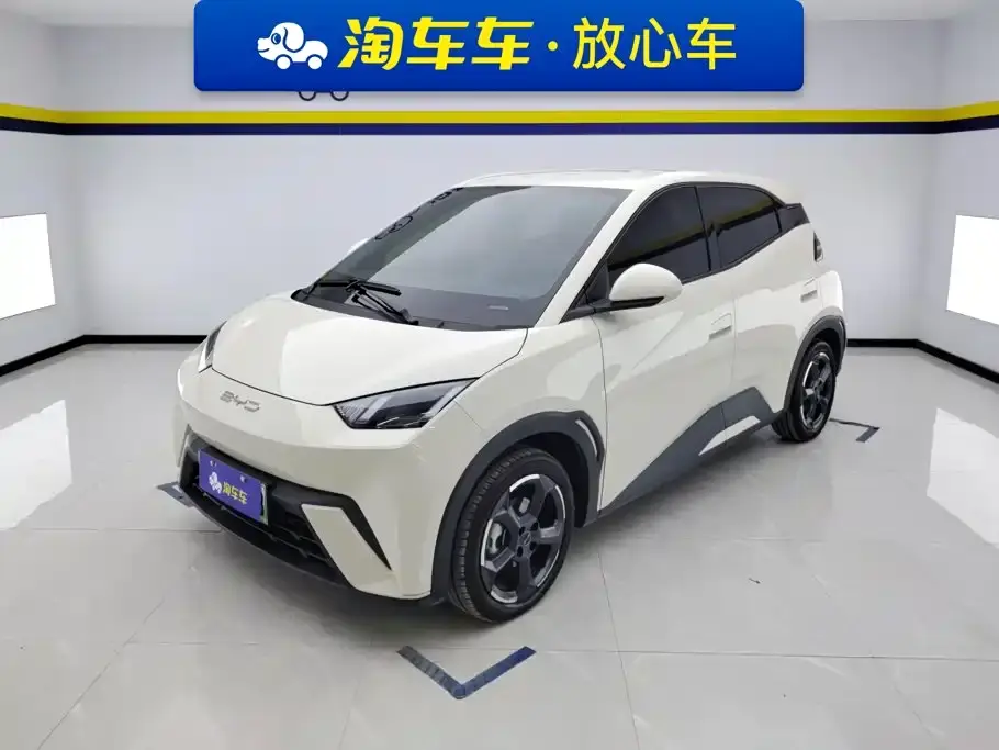 BYD Seagull Freedom Edition 2023