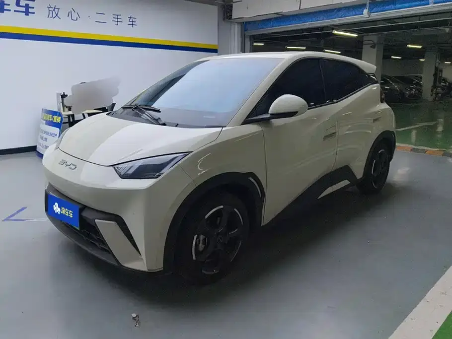 BYD Seagull Freedom Edition 2023