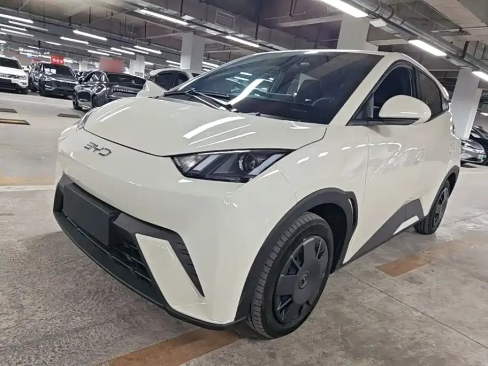 BYD Seagull Glory Edition 305km Vitality Edition 2024