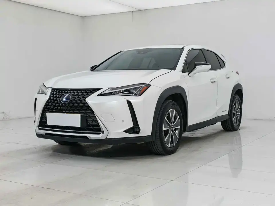 Lexus UX Electric 300e Pure Yue Edition 2021