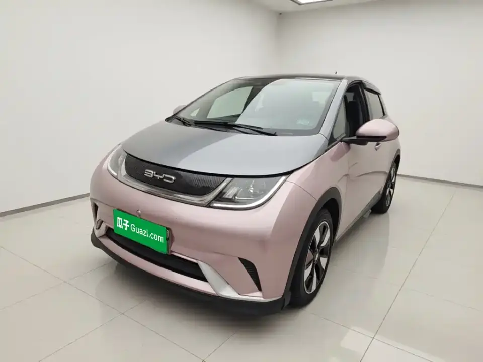 BYD Dolphin 401km Knight Edition 2022